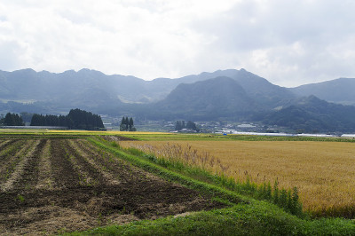 从火车窗口看到的风景