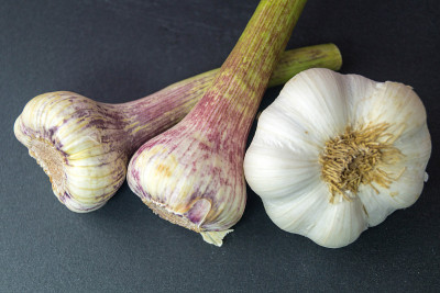 Knoblauch -大蒜