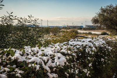 雅典雪景——罕见而独特的事件