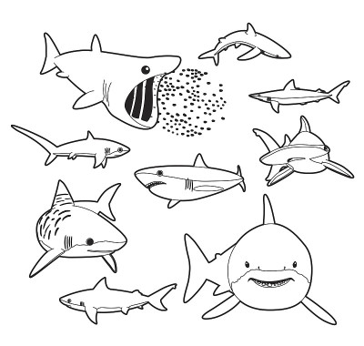 Various Sharks Cartoon Vector Illustration Monochr