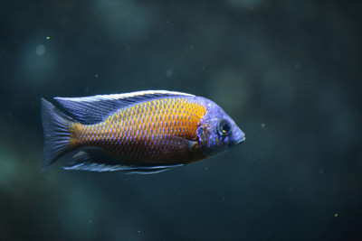 水族馆