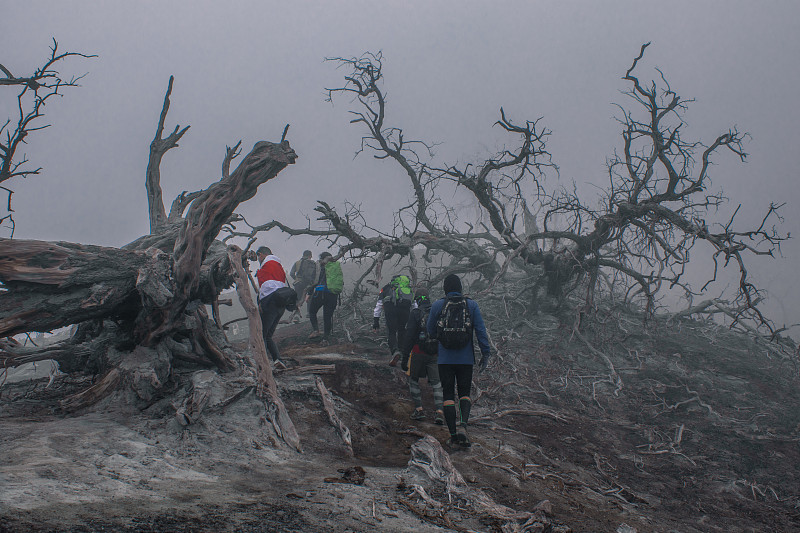 一群年轻的徒步旅行者正在穿越危险区域的火山锥周围被烧毁的森林