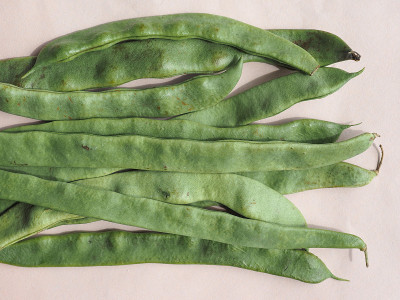 mangetout 豌豆豆类蔬菜