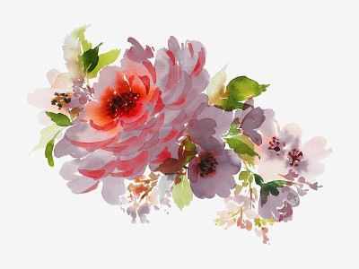 鲜花水彩插图