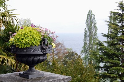 花园岛上的花瓶，以湖泊为背景。
