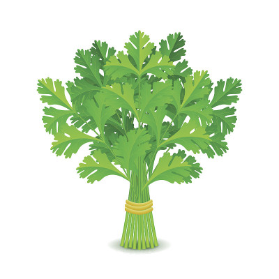 -isolated-vector