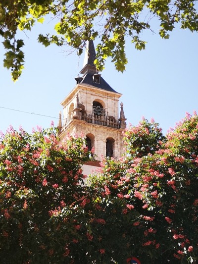 Alcalá德赫那勒斯大教堂塔