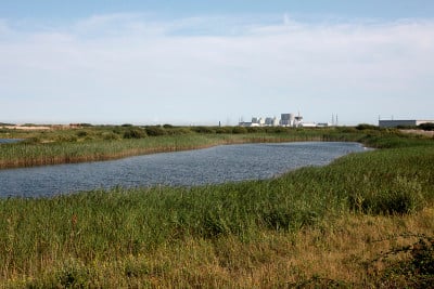 邓杰内斯RSPB储备