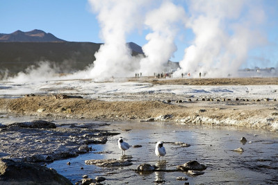 El Tatio间歇泉，智利
