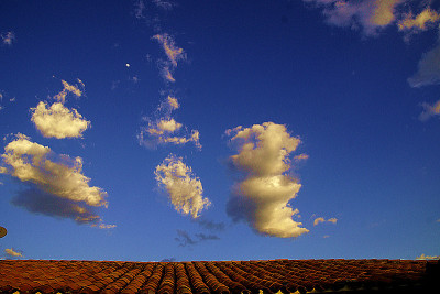 你cielo