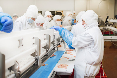 肉的工厂。传送带上的鸡。一群在鸡肉工厂工作的工人——食品加工厂的概念。