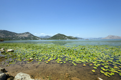 湖