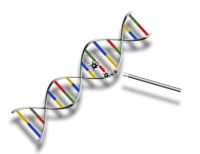 DNA modification