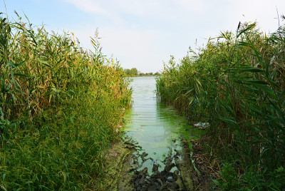 美丽的萨马拉河风景如画的陡峭的河岸和海岸，树木，绿色植物和丰富的天空。明亮而令人难忘的自然，舍普琴科