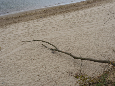 在波兰波罗的海