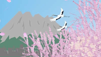 美丽的樱花与树枝和樱岛