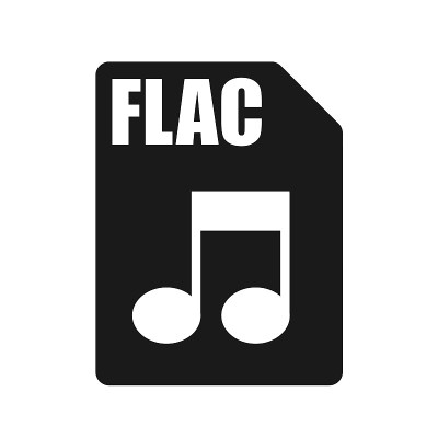 FLAC黑色文件图标，平面设计风格
