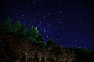 老夜