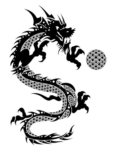 2012年飞龙球剪报