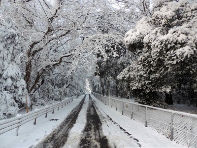东京snow.2后