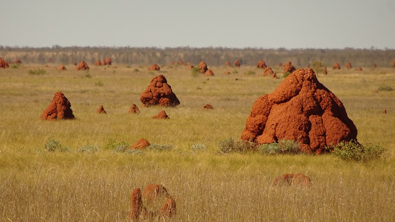 靠近Rehanan's Bore, WA。