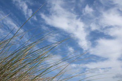 天空