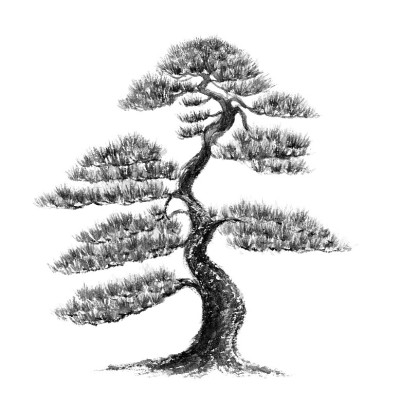 水墨画松树插图。