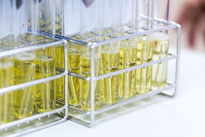 具有科学研究和实验室微生物学研究背景。