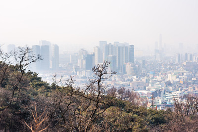 南山的树木在冬天的地面上覆盖着雪，背景是韩国首尔市中心的朦胧的城市景观。