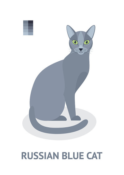 淡蓝色的猫