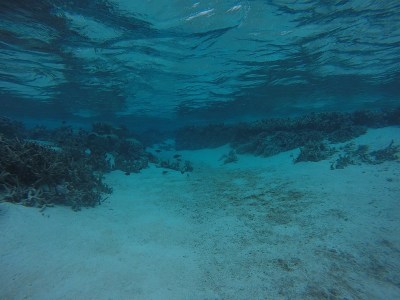 环礁的边缘和沙天堂在Truk泻湖，Chuuk