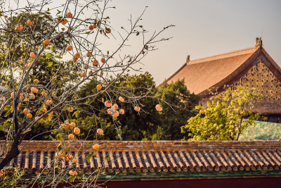 中国北京紫禁城的古代皇家宫殿
