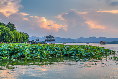 杭州西湖的美丽风景