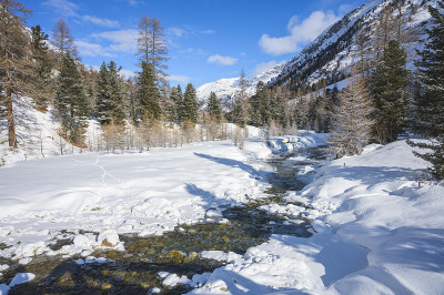 瑞士恩加丁格里森州彭特雷西纳的罗斯格河谷，雪景与落叶松森林