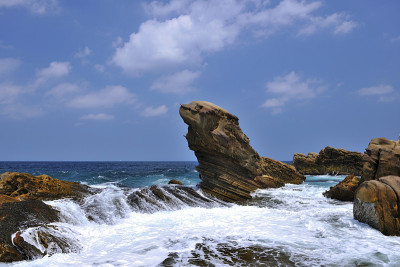 毛皮海豹石