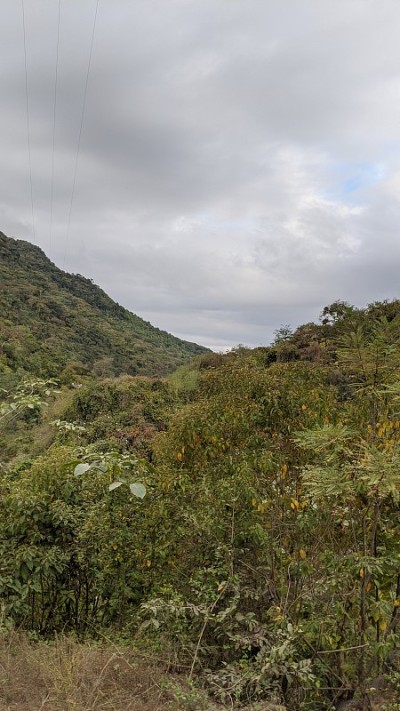 山景观(photo1)