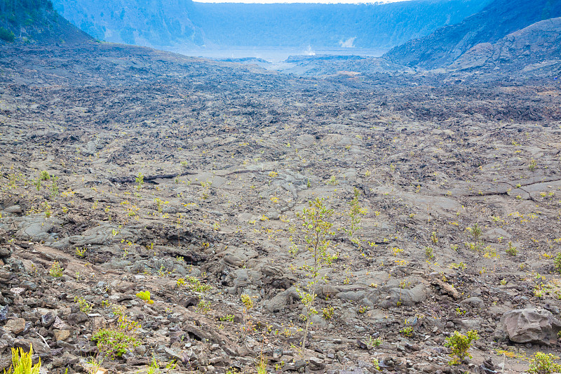 火山口地板