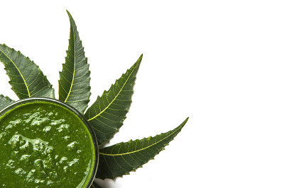 药膏印楝叶放在碗里，白色背景。