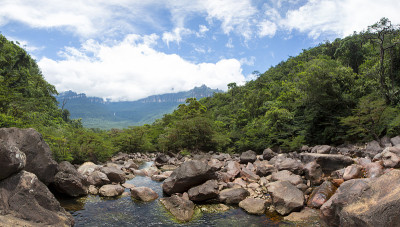 委内瑞拉野生河流、石头和森林的全景