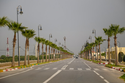 摩洛哥非斯外的高速公路上棕榈树成行