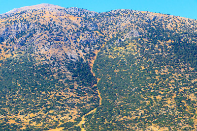 山