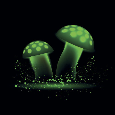 绿色霓虹灯蘑菇。发光魔法黑木耳在黑色的背景。