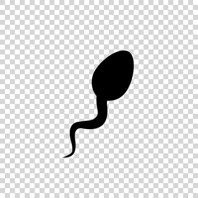 Sperm icon