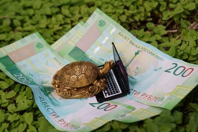 纸币上的金属海龟雕像。