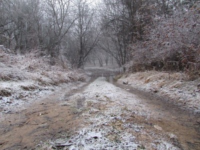 白雪覆盖的森林里泥泞的道路。