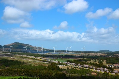 燃烧，展望，农村，