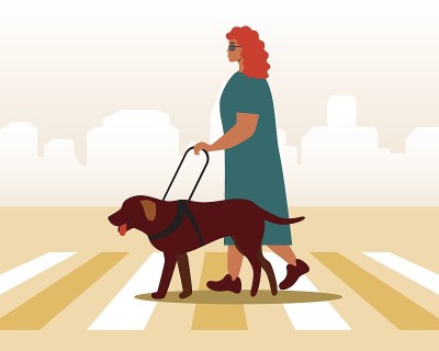 盲行人带导盲犬，平面矢量图库，包括城市街道和行人过街处的残疾行人