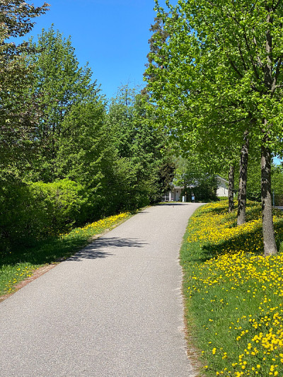 万塔市夏季时间-芬兰步道