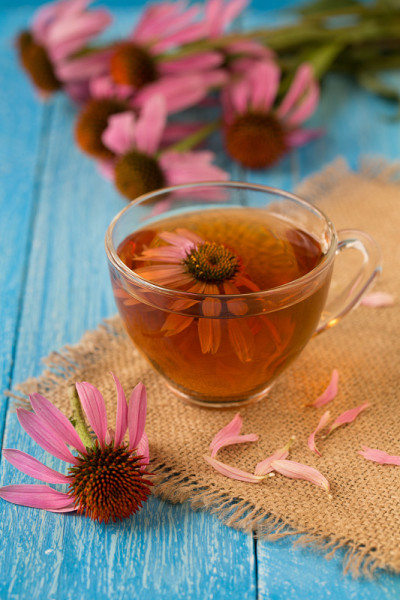 蓝色的木桌上放着一杯紫锥菊茶