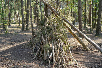 在森林中建造的旧树枝小屋